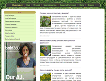 Tablet Screenshot of indasad.ru